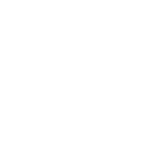 icon of servers in the rack