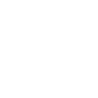 wire globe icon